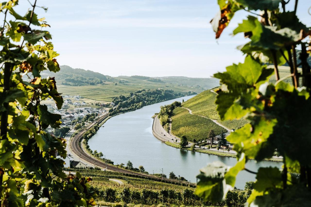 Weingut Und Gaestehaus Apel Nittel Esterno foto