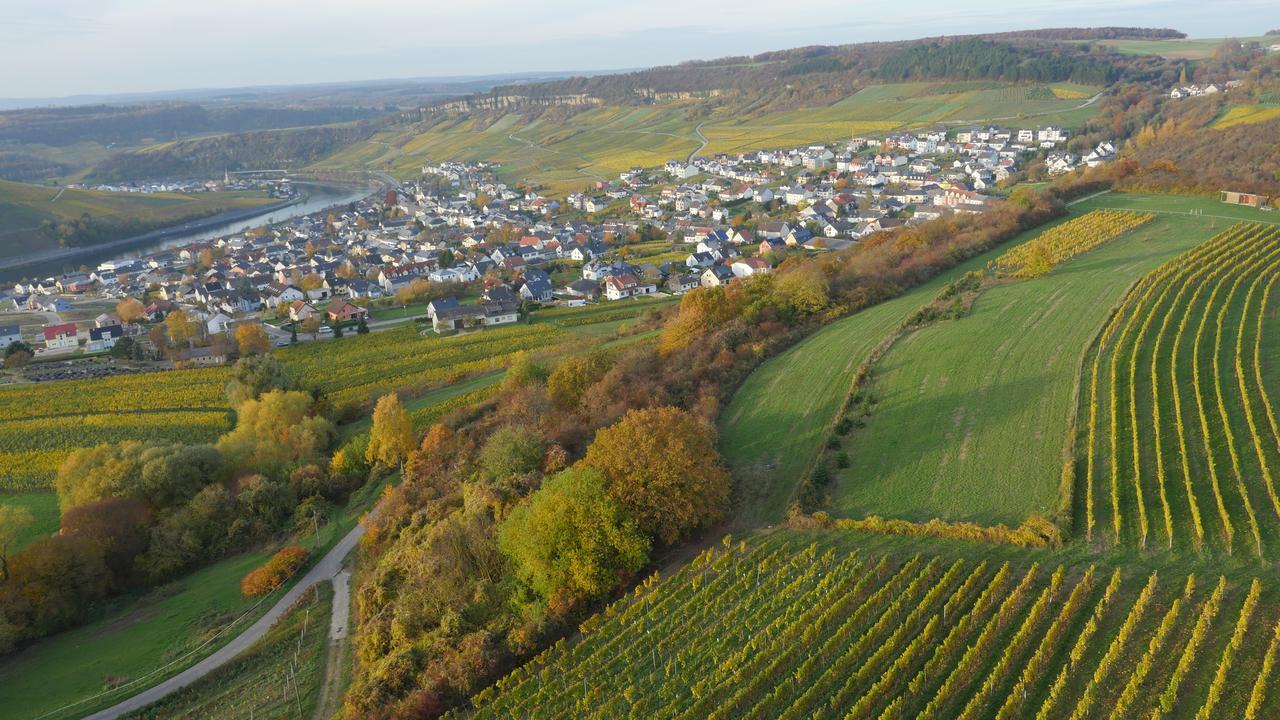 Weingut Und Gaestehaus Apel Nittel Esterno foto