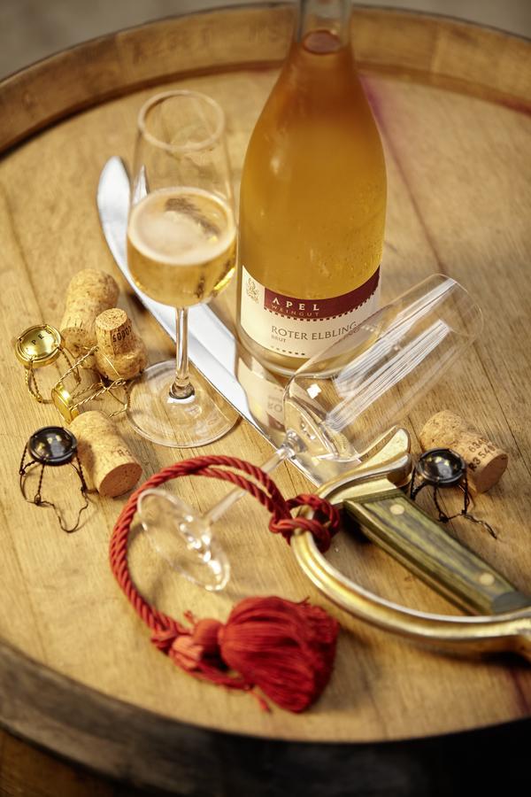 Weingut Und Gaestehaus Apel Nittel Esterno foto